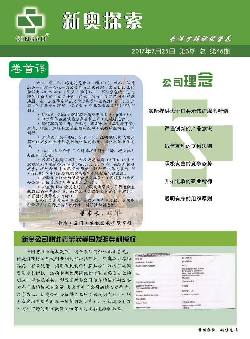 新奥精准免费资料奖料提供|综合研究解释落实