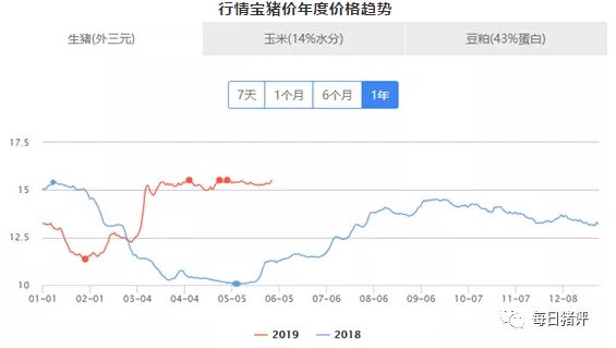沂水今日猪价最新消息，市场走势与影响因素分析