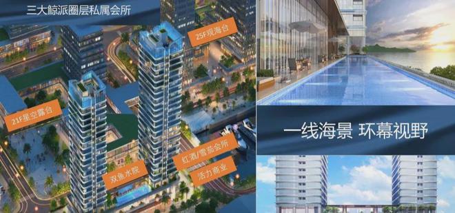 射洪云辰国际最新消息全面解析